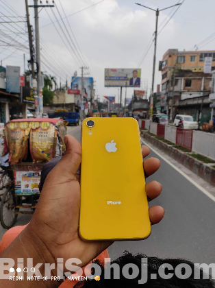 iPhone XR